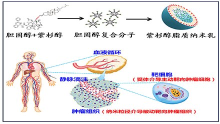蛋白多肽类药物纳米载体构建及其粘膜和