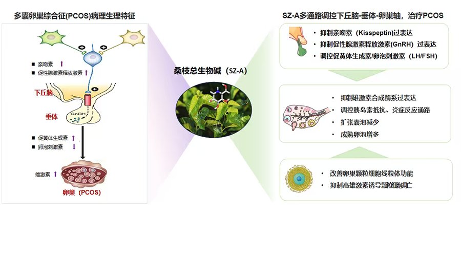 © 九游在线登录官网最新版下载 保留